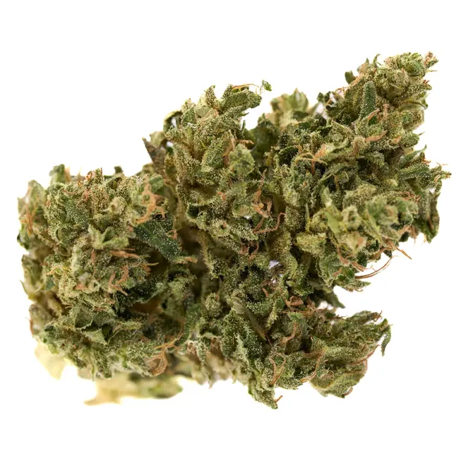 Early Trump CBD Flower (Hybrid) – 7 grams Oregon Hemp