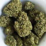 Bubba Kush CBD Flower – 7 grams Organic Hemp (Indica-Leaning)