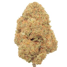 LEMON OCTANE CBD FLOWER – 7g (Indica-Dominant Hybrid Hemp)