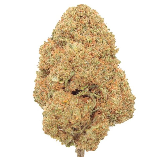 LEMON OCTANE CBD FLOWER – 7 grams (Indica-Dominant Hybrid Hemp)