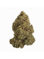 Cannabis CBD Flower: 'Sour Pineapple' 7 grams (1/4 oz) (Sativa)