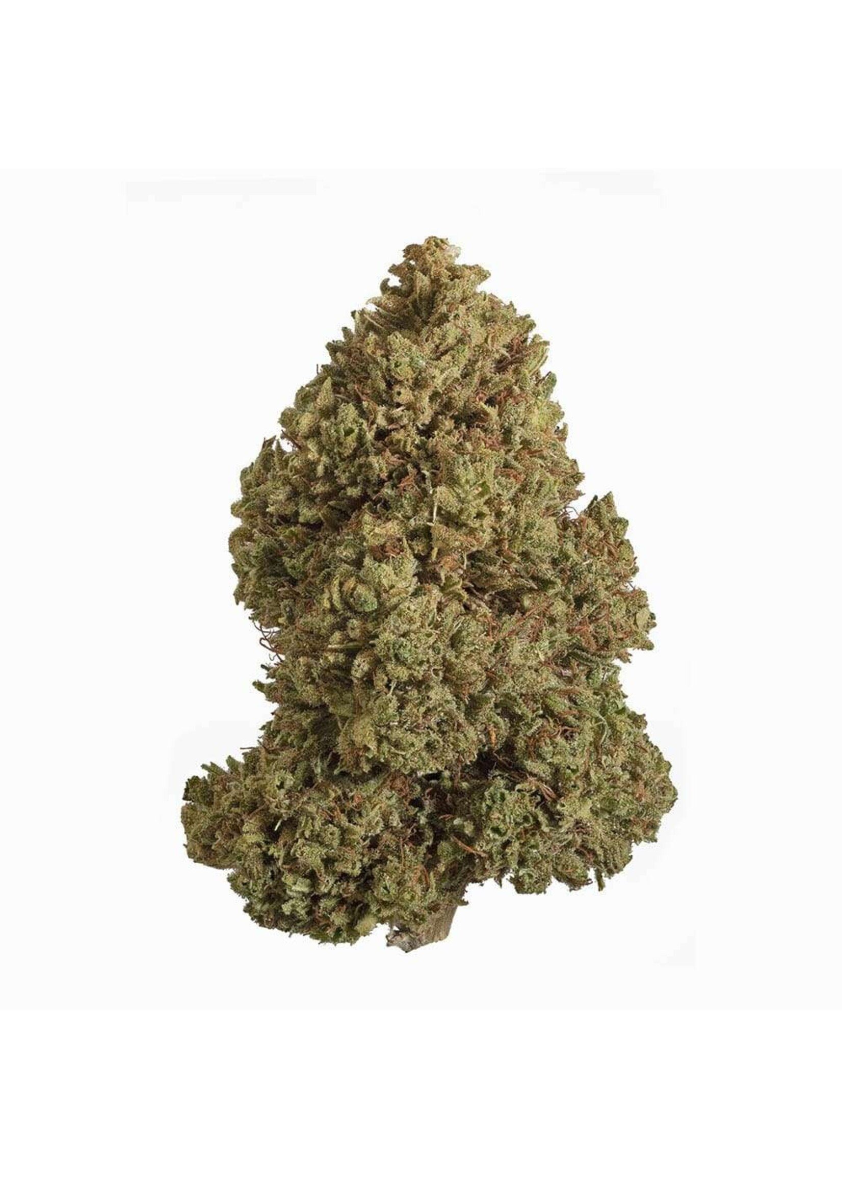 Cannabis CBD Flower: 'Sour Pineapple' 7 grams (1/4 oz) (Sativa)