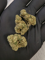 Poison Gushers THCA Flower 7g (1/4 oz) – 30.48% Hybrid Indica Hemp