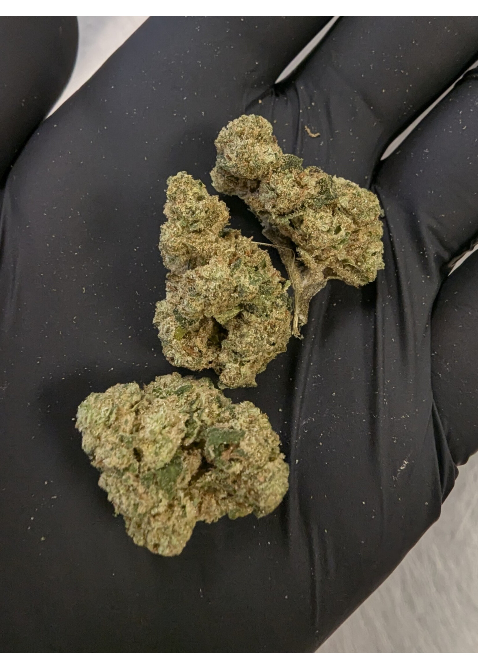 Poison Gushers THCA Flower 7g (1/4 oz) – 30.48% Hybrid Indica Hemp