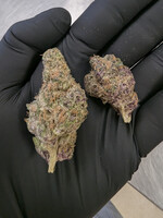 Blockberry THCA Flower 7g (1/4 oz) – 30.91% Sativa Hemp