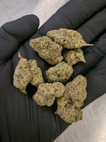 Blue Halo THCA Flower 7g (1/4 oz) – 32.43% Sativa Hemp