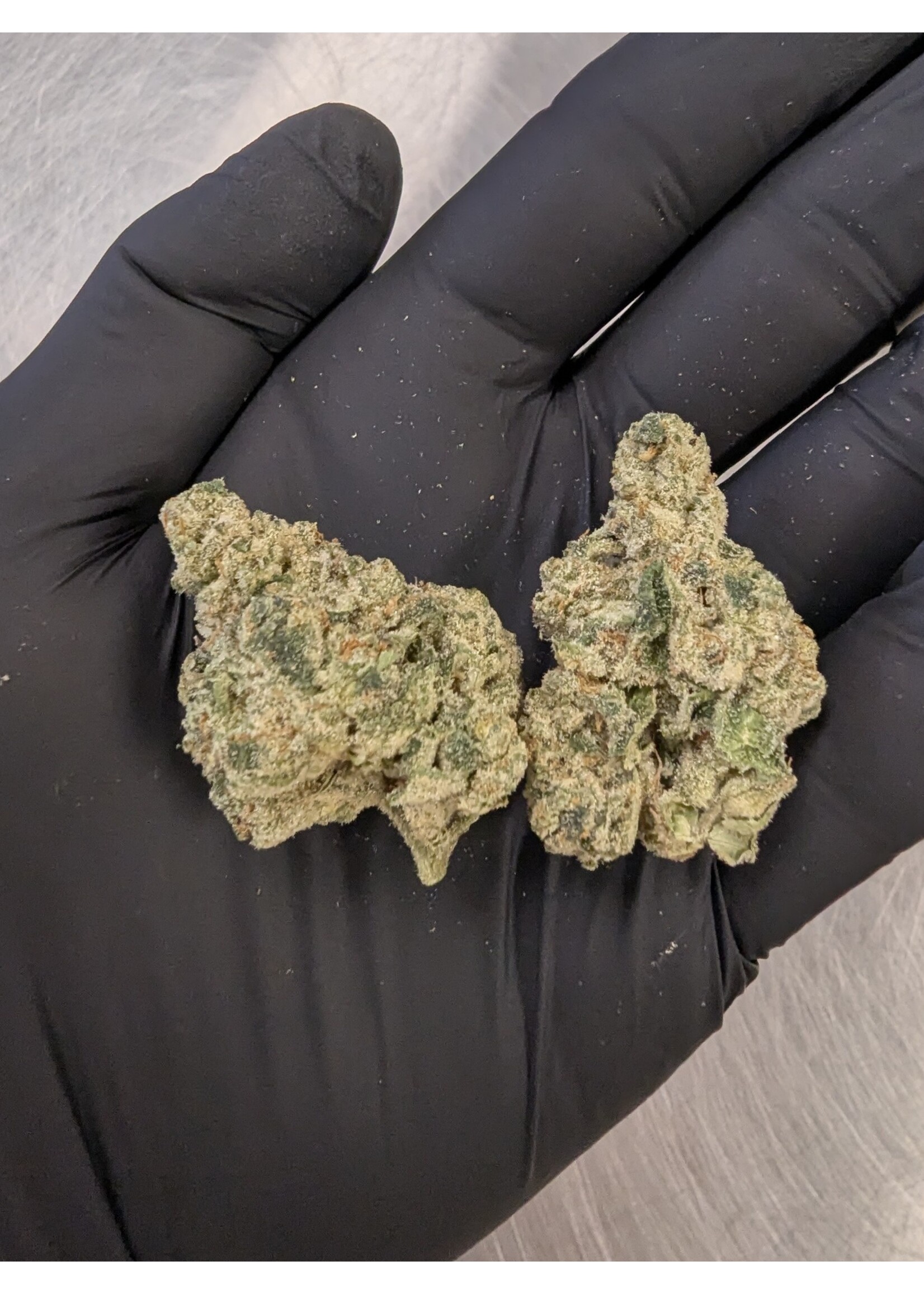 Purple Splash THCA Flower 7g (1/4 oz) – 31.76% Indica Hemp