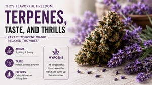 THC’s Flavorful Freedom: Terpenes, Taste, and Thrills—Part 2: “Myrcene Magic: Relaxed THC Vibes”