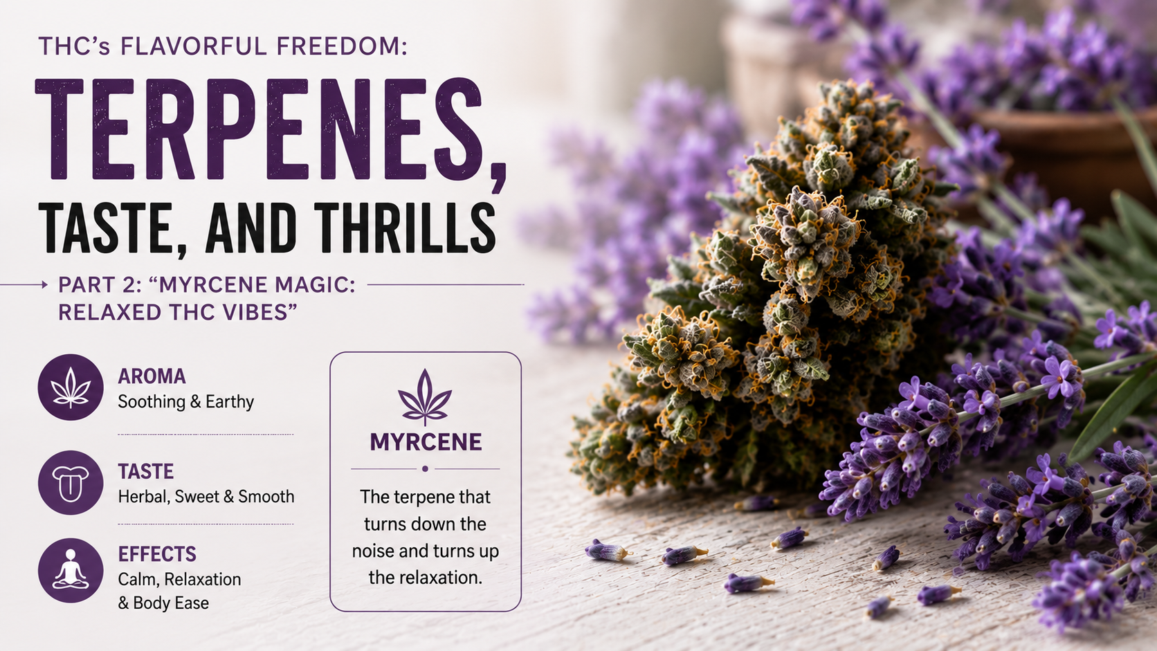 THC’s Flavorful Freedom: Terpenes, Taste, and Thrills—Part 2: “Myrcene Magic: Relaxed THC Vibes”