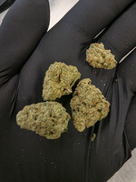 THCA  Flower: 'Purple Ice Cream Cake' 7 grams (1/4 oz) (Indica) Hemp