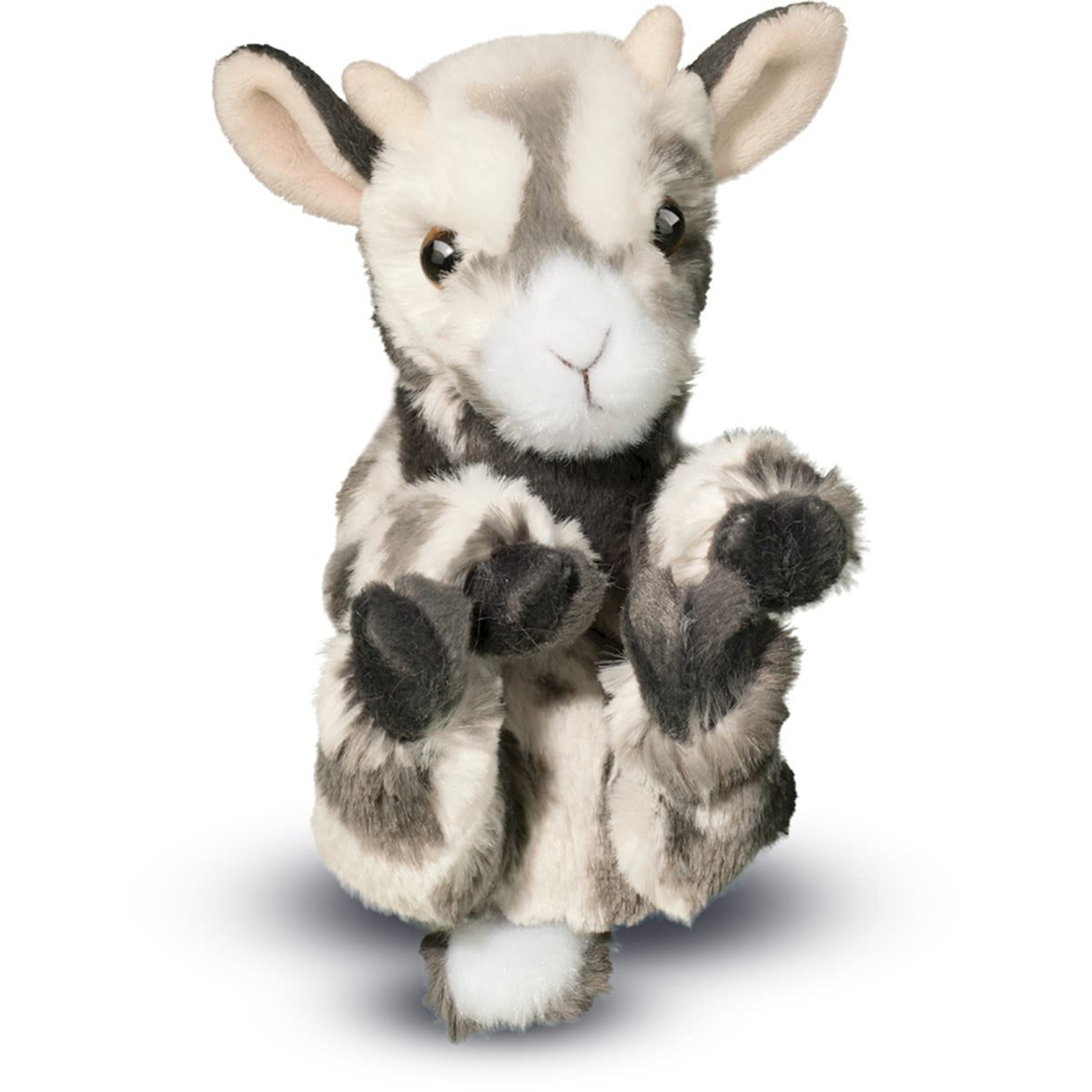 DOUGLAS Lil’ Baby Goat