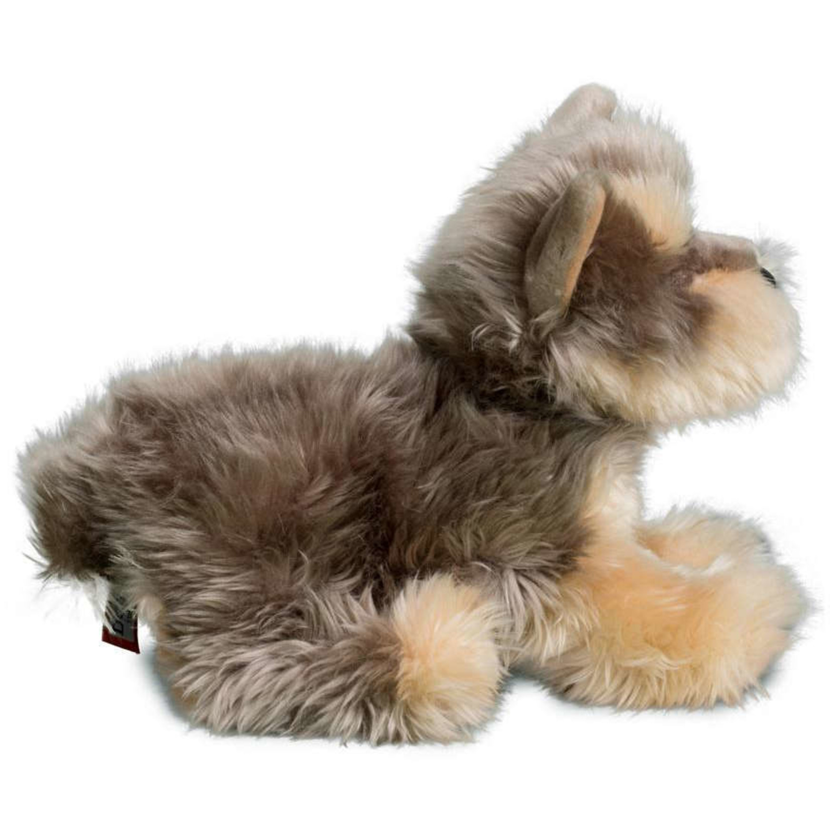 Yettie Yorkie