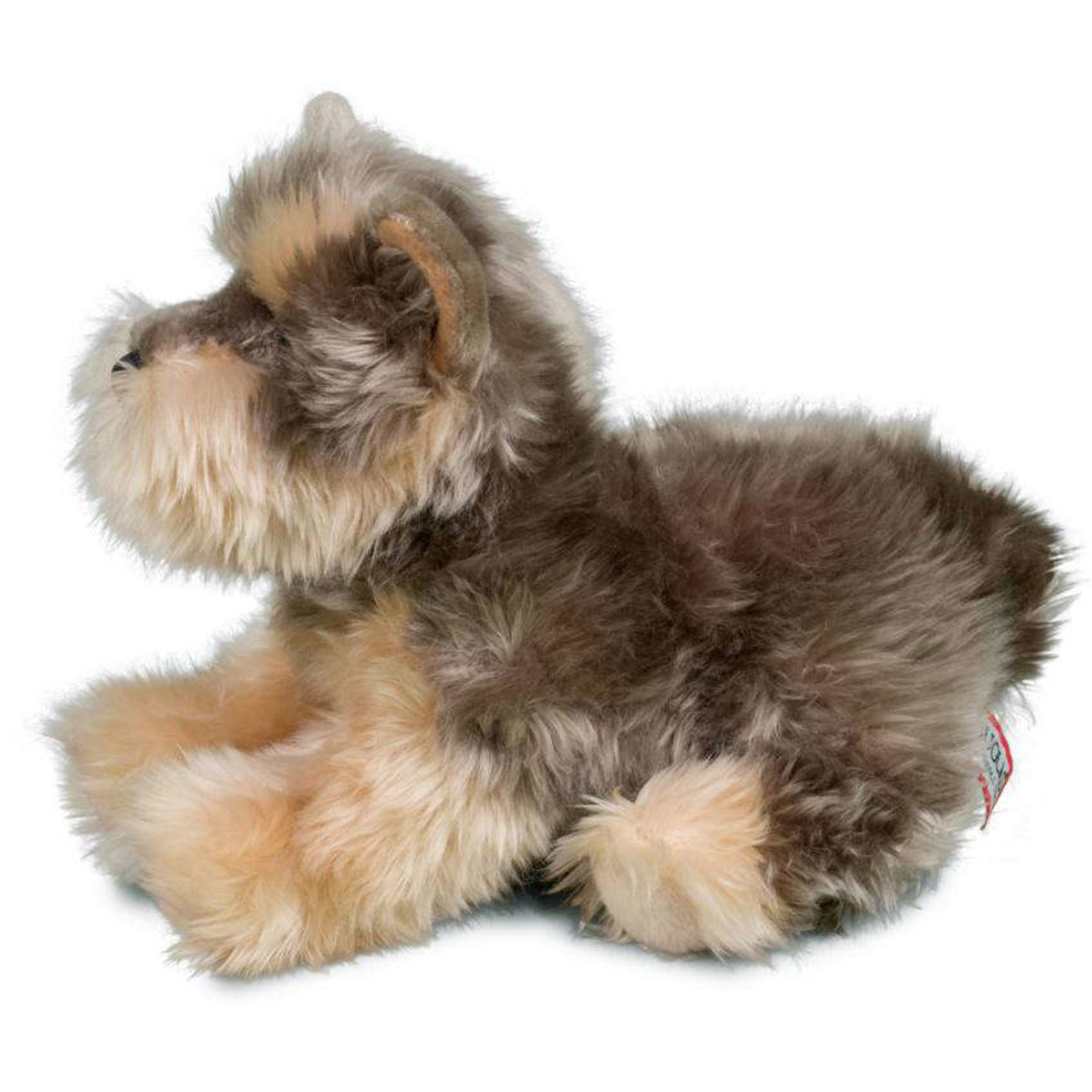 Yettie Yorkie