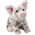 DOUGLAS Pauline Spotted Pig, Medium