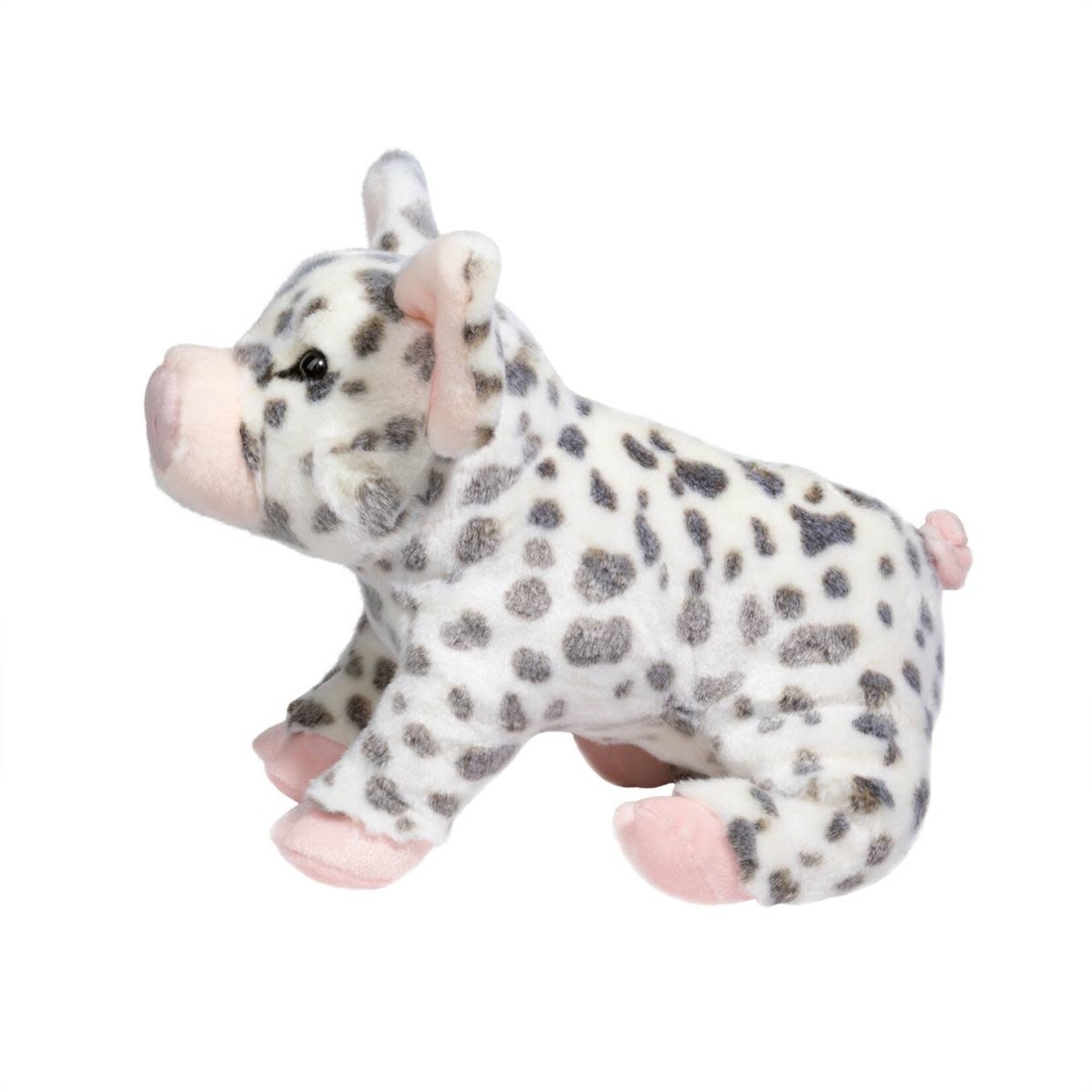 DOUGLAS Pauline Spotted Pig, Medium