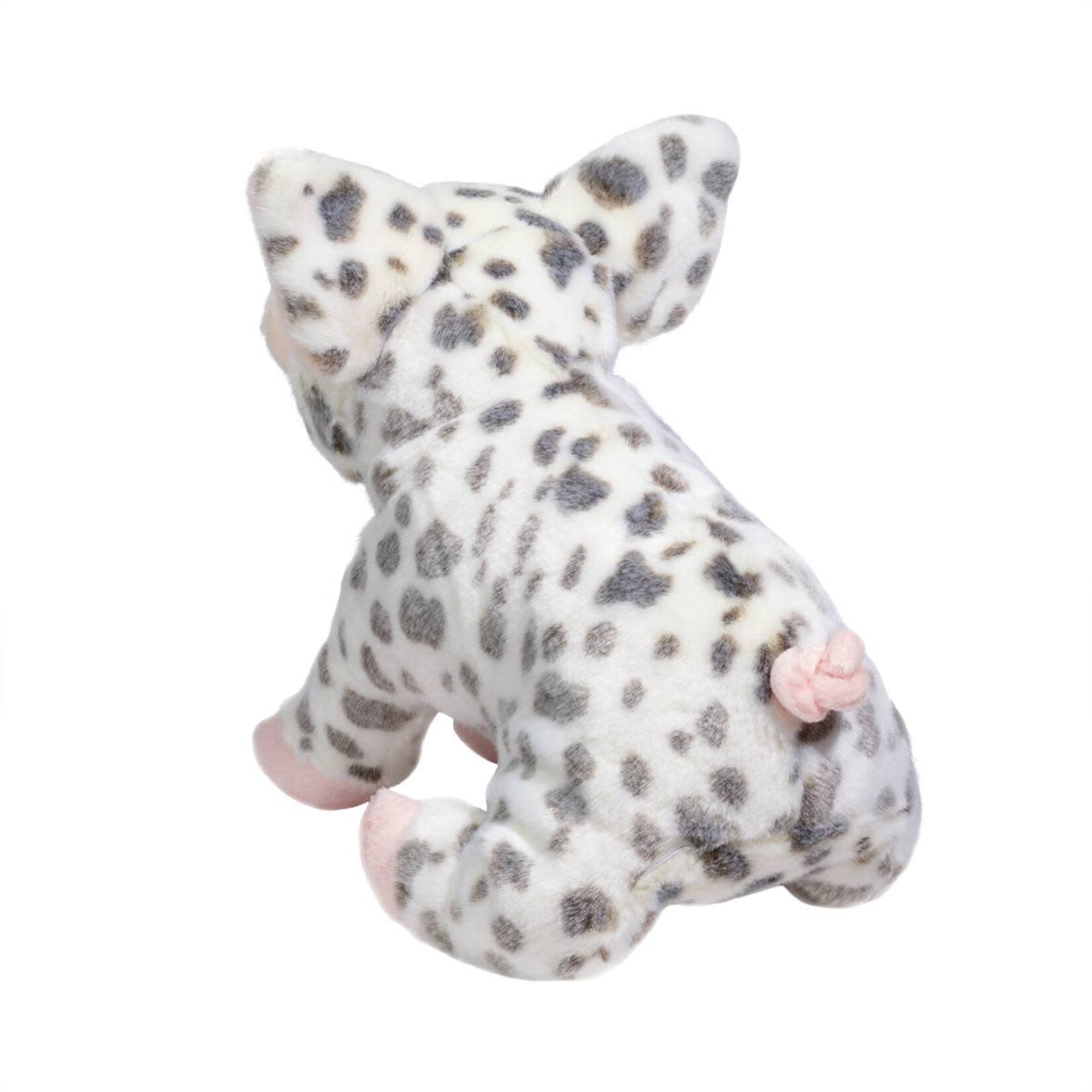 DOUGLAS Pauline Spotted Pig, Medium