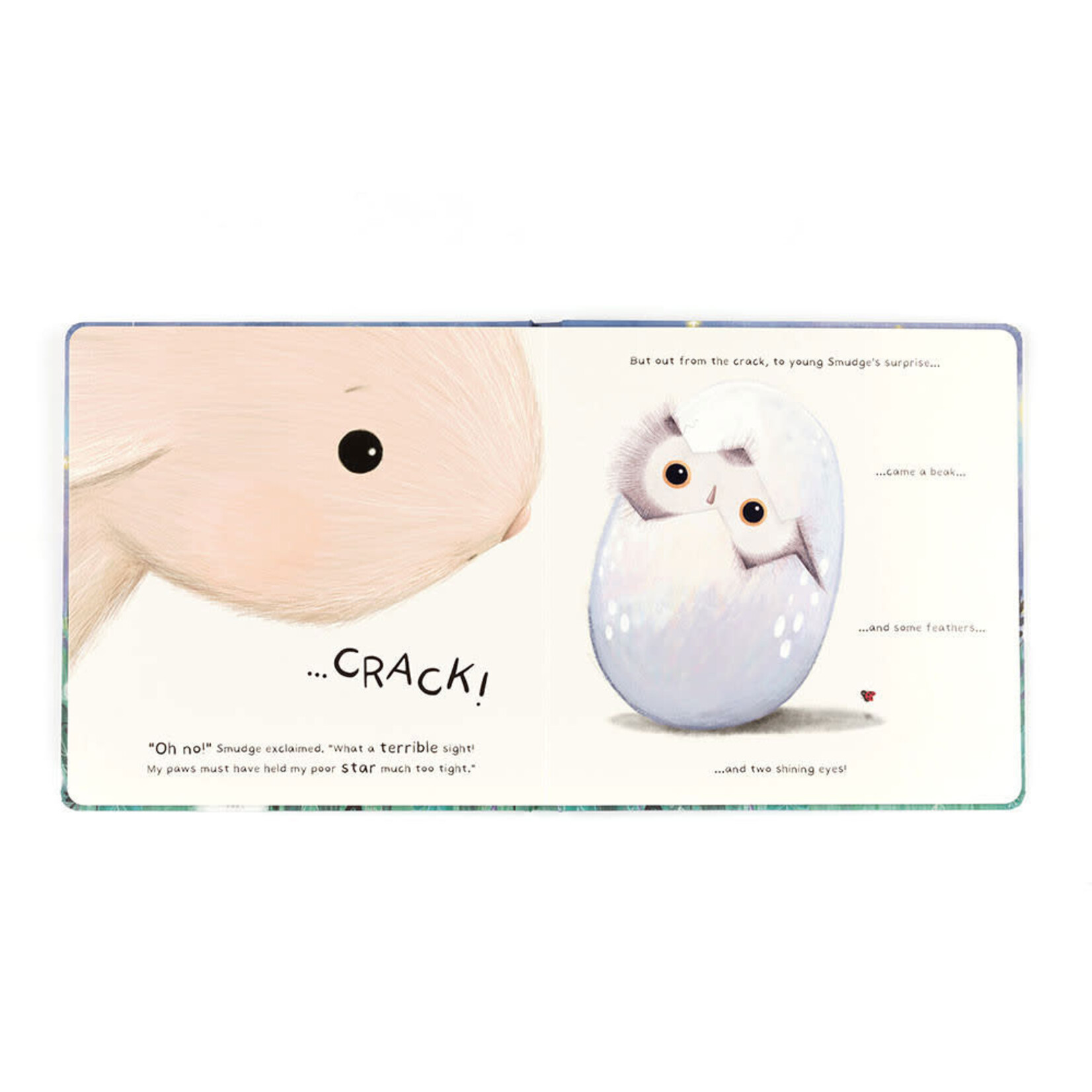 JELLYCAT Smudge Rabbit and the Falling Star Book