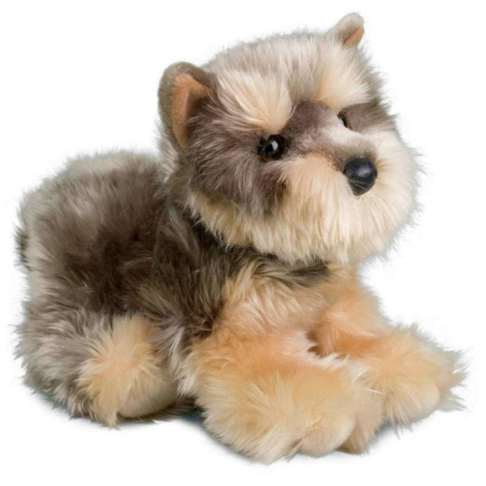 Yettie Yorkie