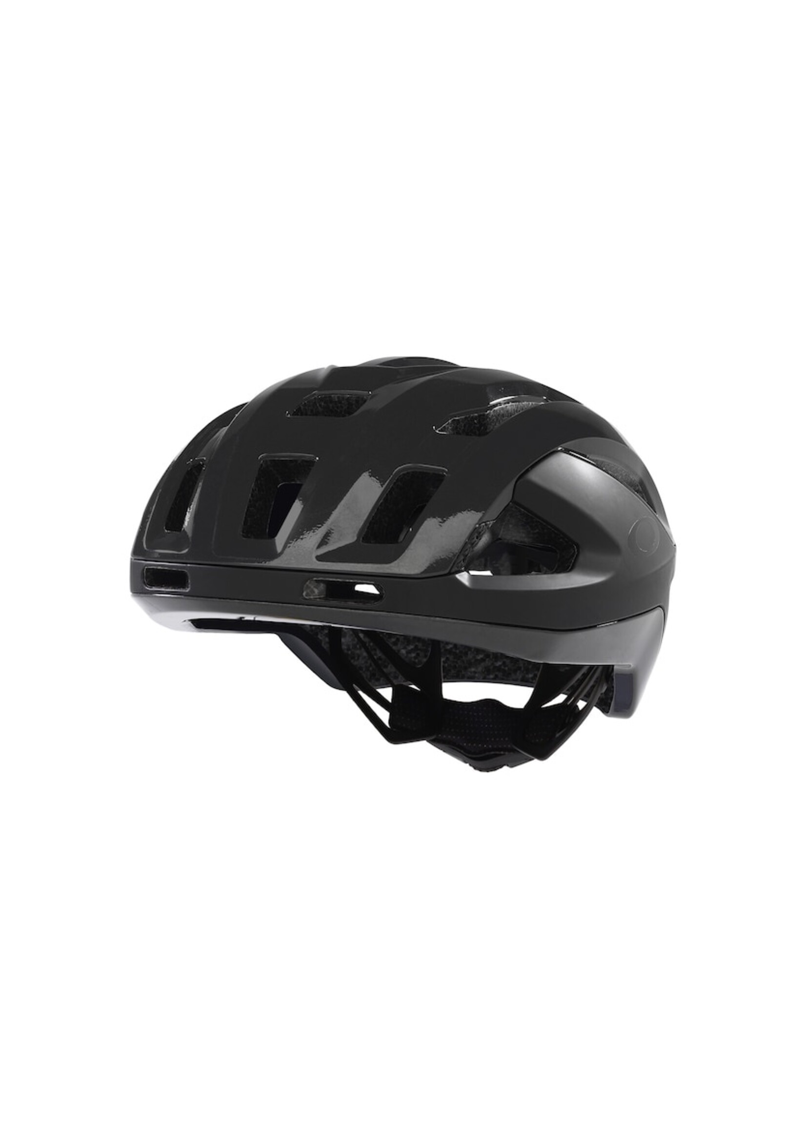 Oakley ARO 3 Endurance