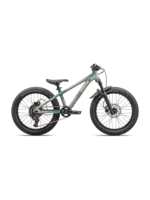 Specialized P.1 Trail