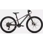 Specialized RIPROCK 24