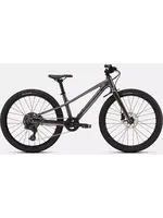 Specialized RIPROCK 24