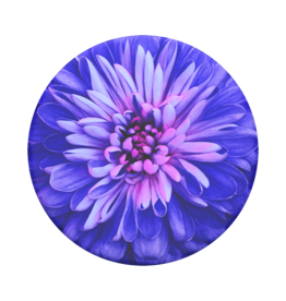 PopSockets PopSocket PopGrip Swappable PopTop - Be A Dahlia
