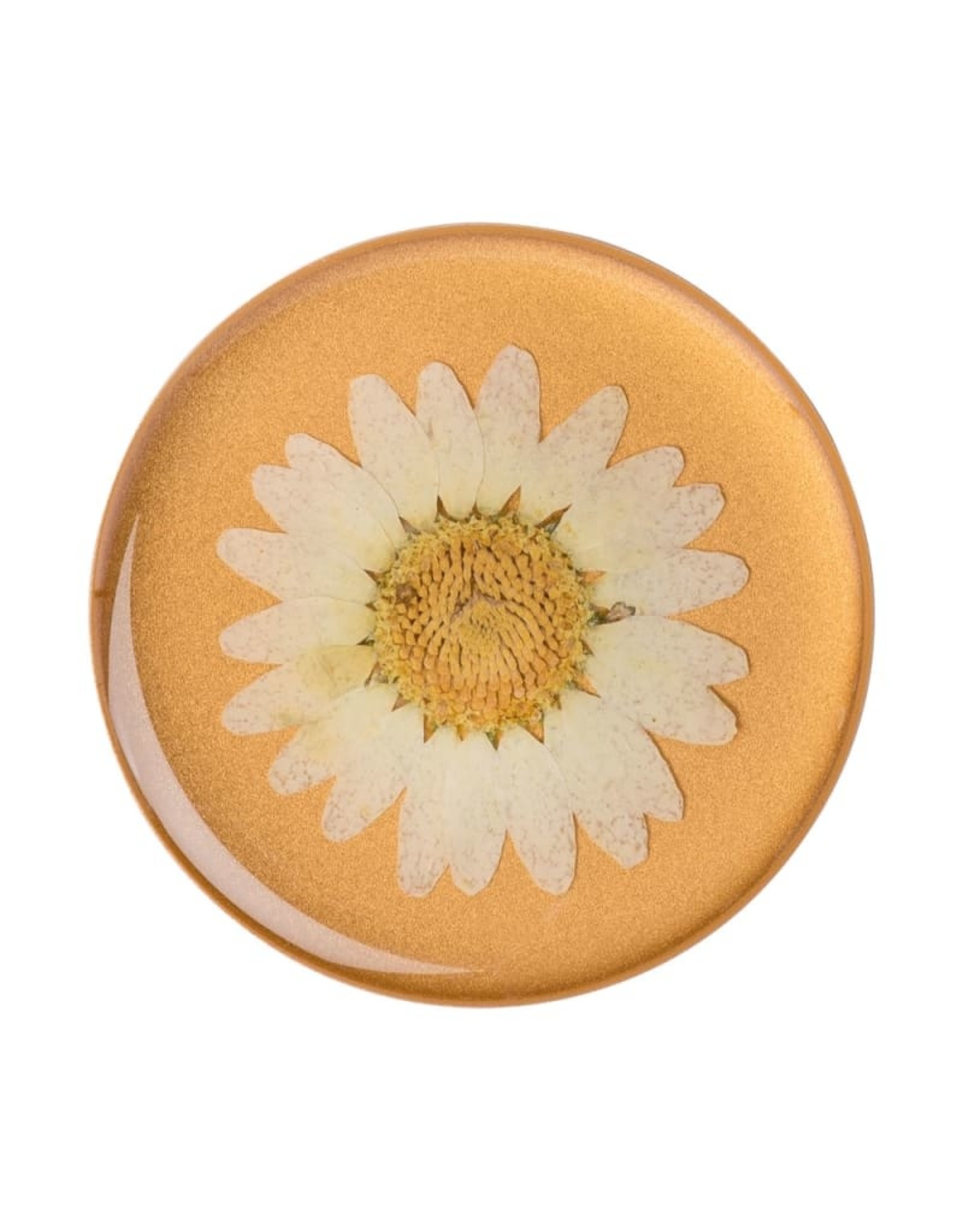 PopSockets Popsockets PopGrip (Gen2) - Press Flower Daisy White