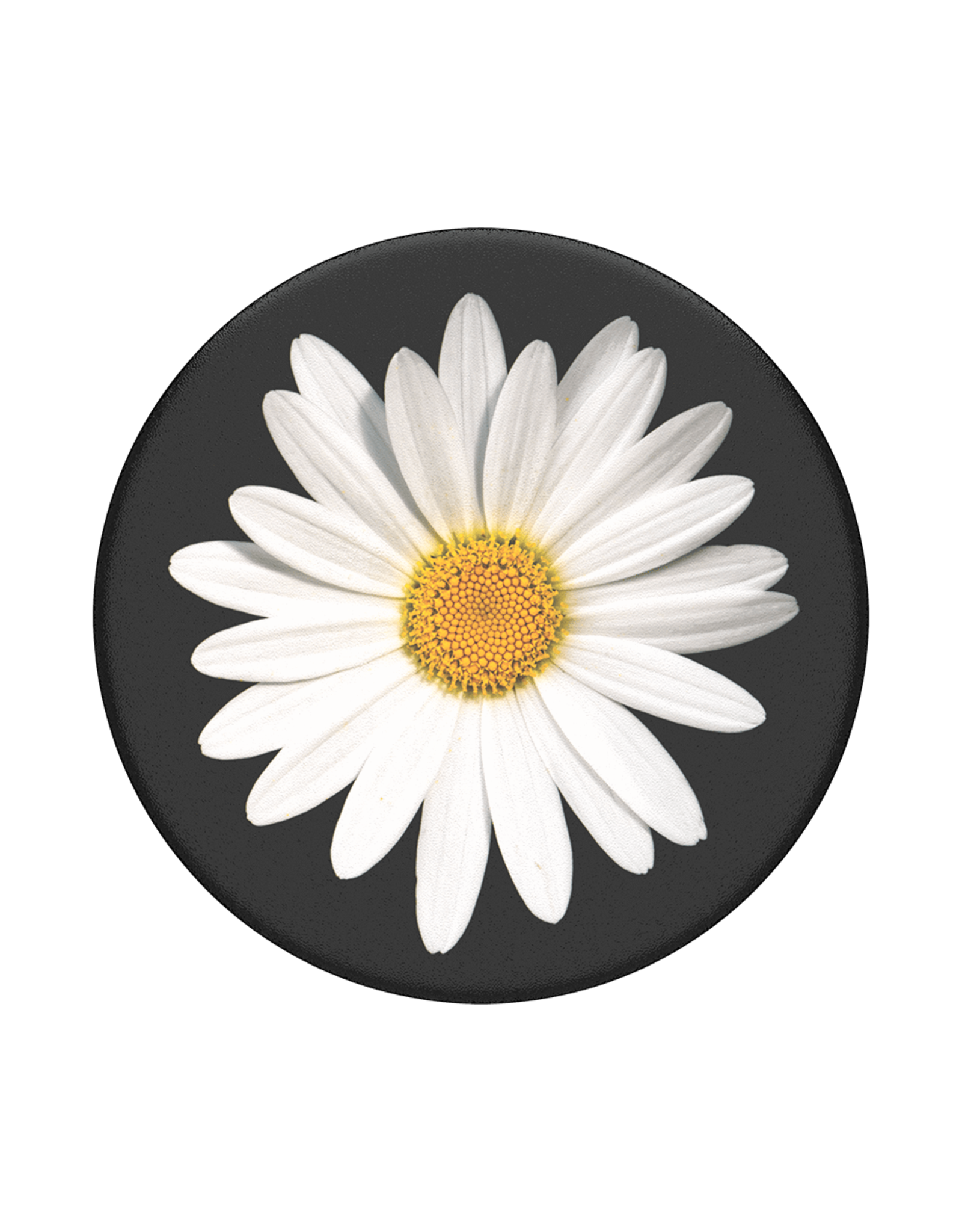 PopSockets PopSocket PopGrip Universal Grip Holder - White Daisy