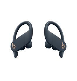 Beats Beats Powerbeats Pro Totally Wireless Earphones