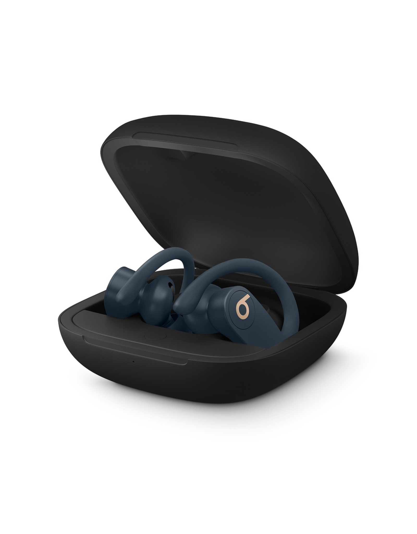 Beats Beats Powerbeats Pro Totally Wireless Earphones