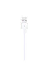 Apple Apple Lightning to USB Cable (1m)