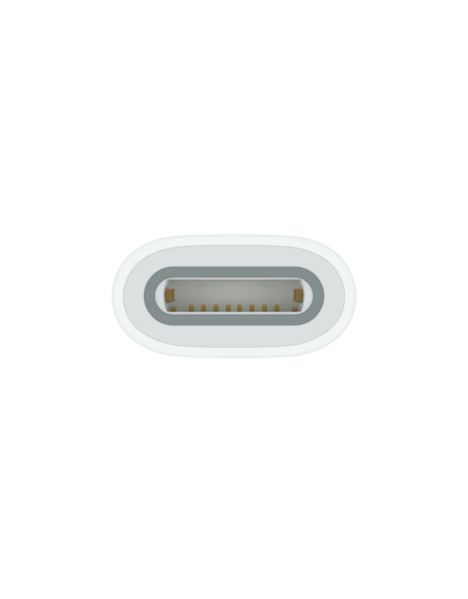 Apple Apple USB-C to Apple Pencil Adapter