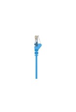 Belkin Belkin 1m CAT6 Networking Cable - BLUE