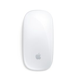 Apple Apple Magic Mouse — White Multi-Touch Surface - USB-C