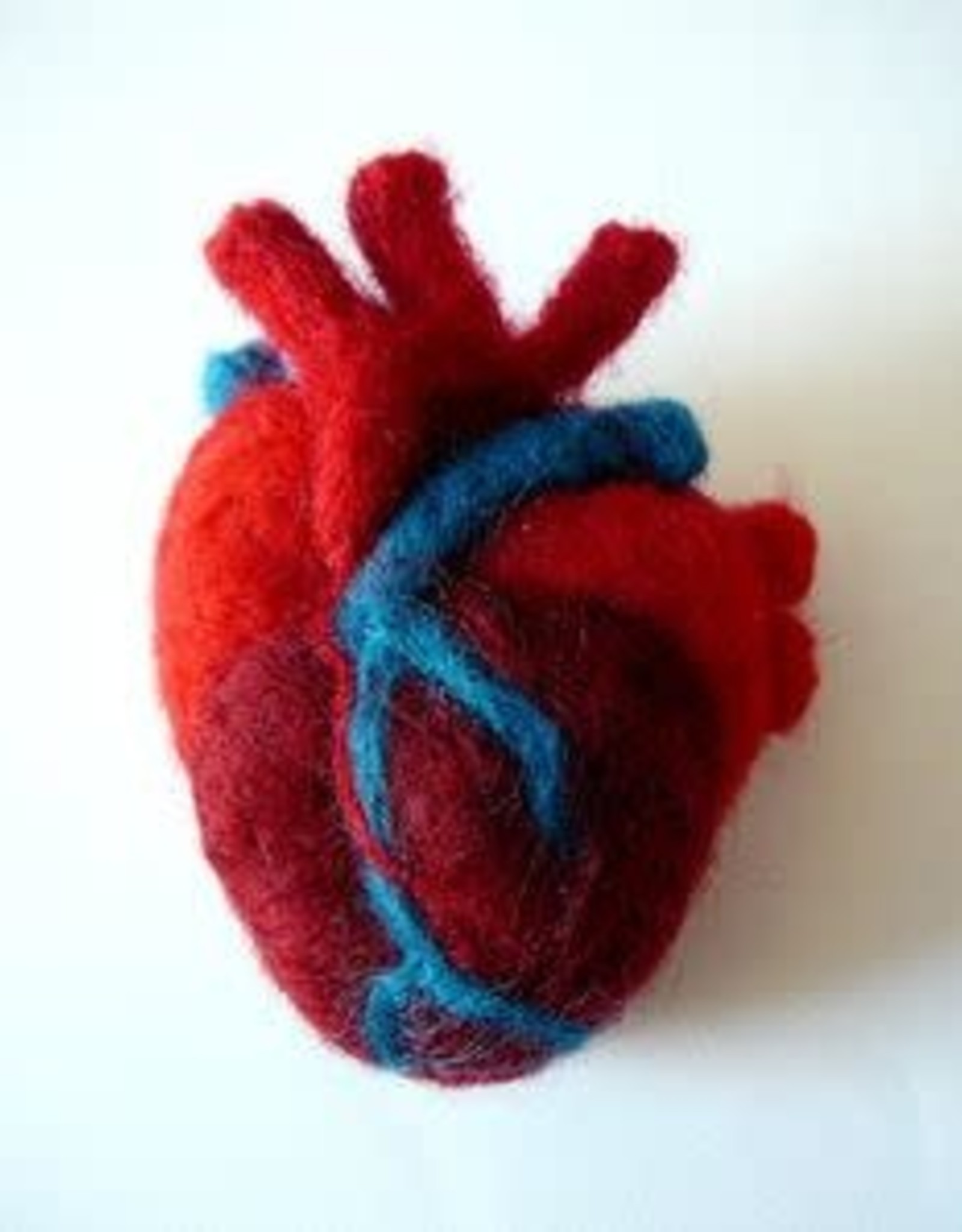 Megan Fiscus Needle Felting:  Anatomical Human Heart - Tuesday, February 1st, 11:30am-1:30pm