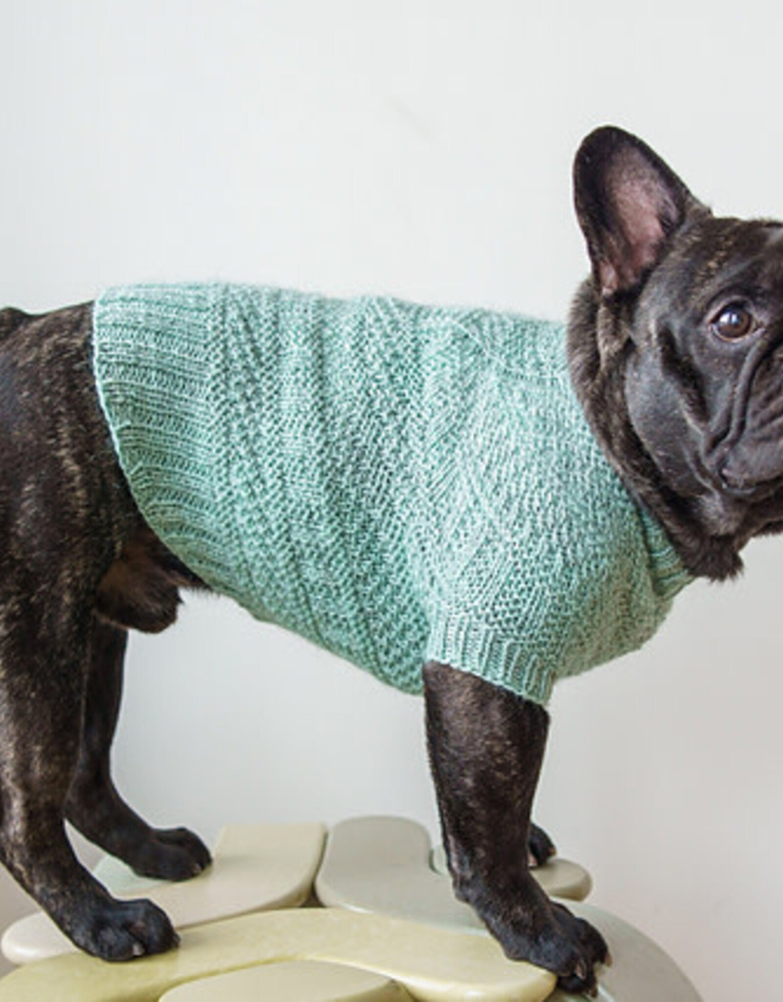 Doggone Cute Sweater - Wednesdays, October 23 & November 6, 5-7pm