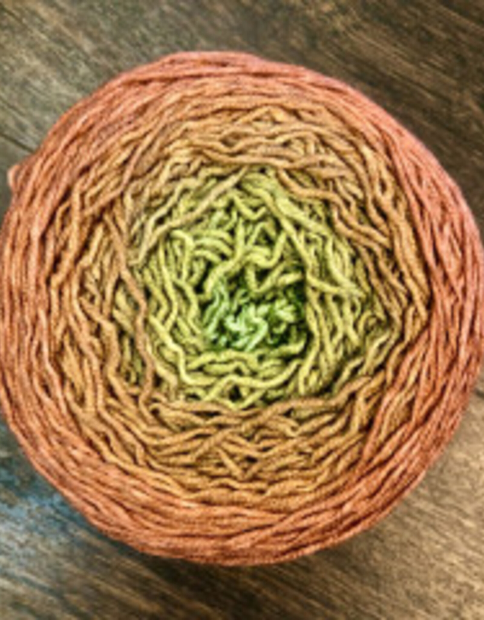 Wonderland Yarn Blossoms Gradients by Wonderland Yarns