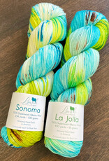 Baah Yarns Color of the month by Baah Yarn 2025