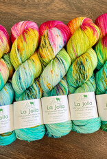 Baah Yarns La Jolla by Baah Yarn, Color Group 5 Love Your Store 2025 fingering