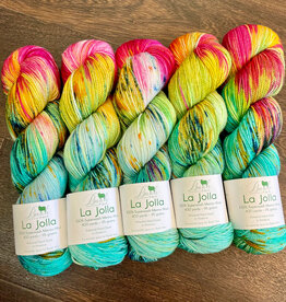 Baah Yarns La Jolla by Baah Yarn, Color Group 5 Love Your Store 2025 fingering