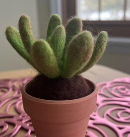 Tracy Kadonaga Needle Felting: Potted Succulent - Monday, September 15, 4-6pm