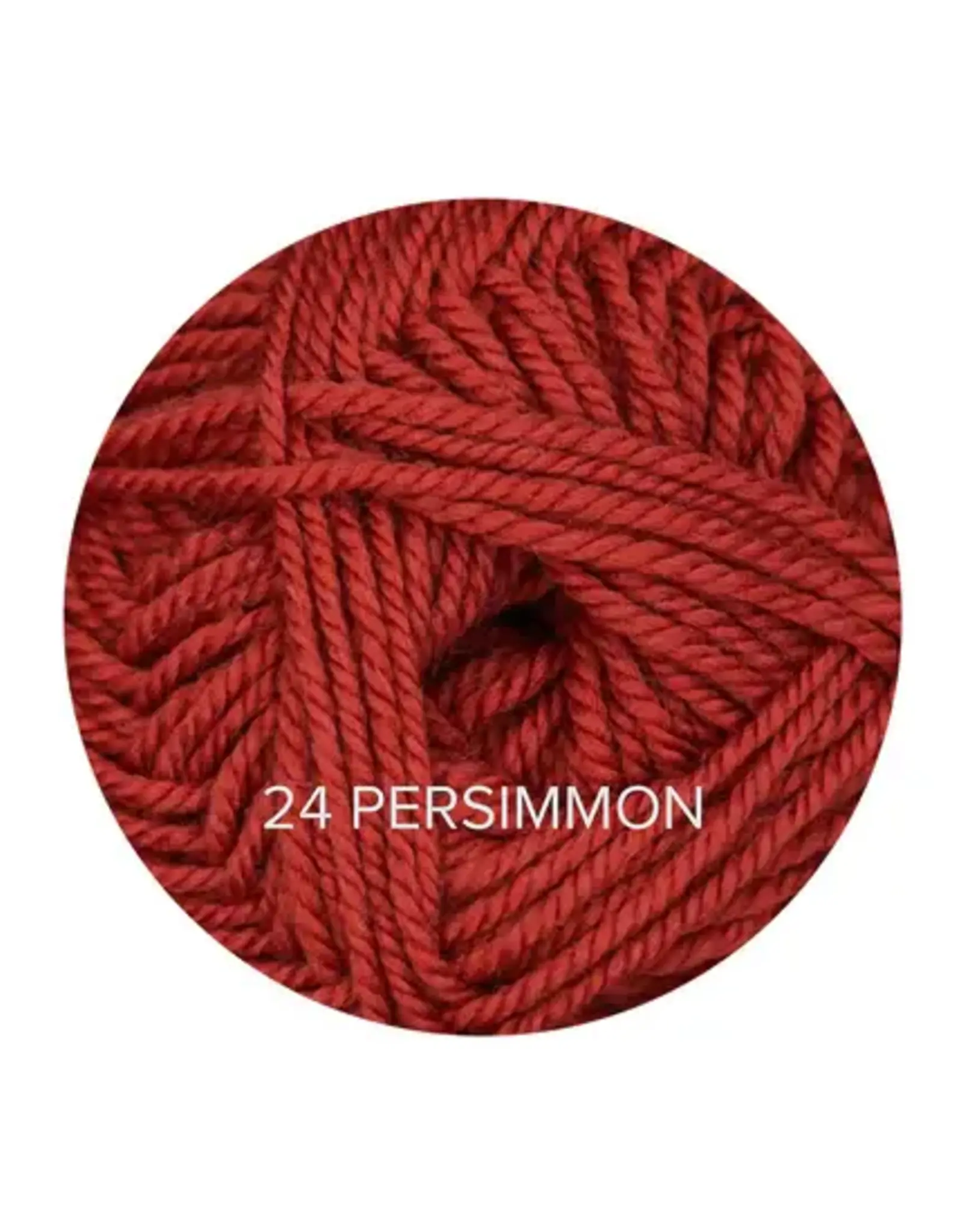 Ewe Ewe Baa Baa Bulky by Ewe Ewe Yarns Color Group 2