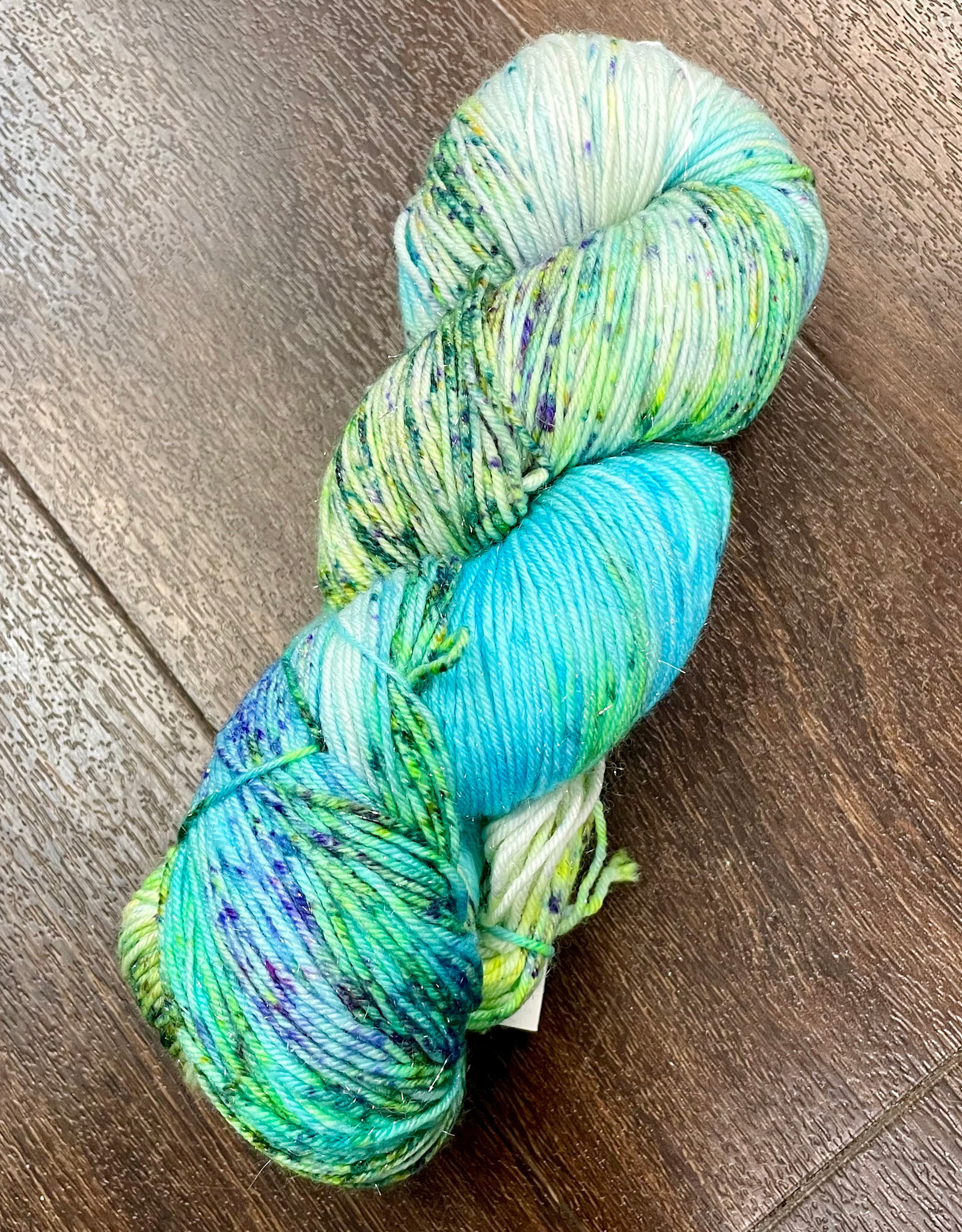 Road Trip Sock Yarn Sparkle Sock by Road Trip Yarn