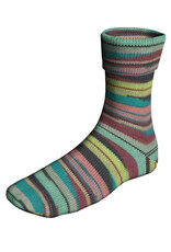 Lang Yarns Super Soxx 4-ply (color group 2) by Lang Yarns