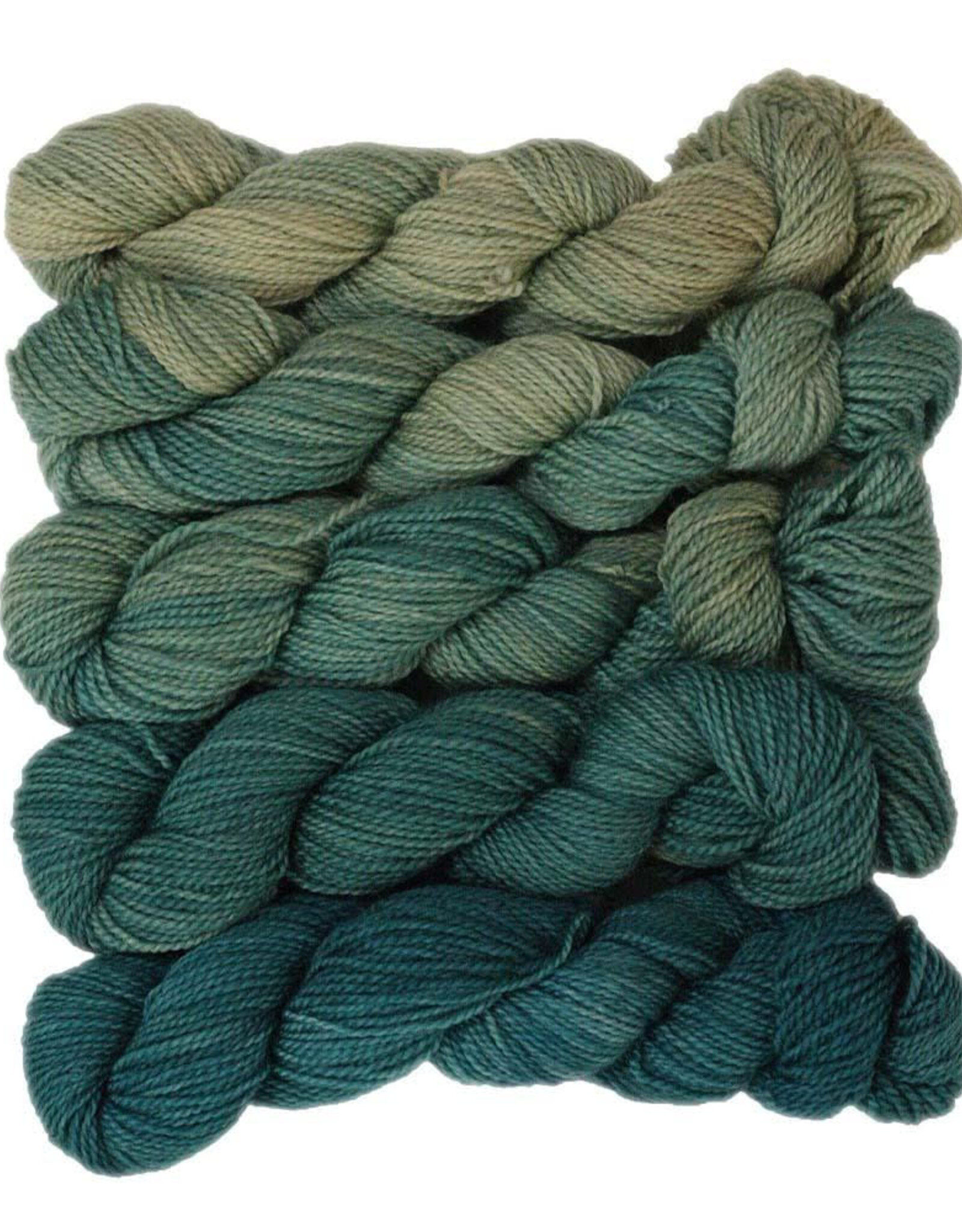 Wonderland Yarn Mary Ann Mini Skein Packs by Wonderland Yarn