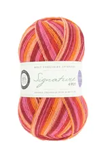 West Yorkshire Spinners Signature 4-ply by West Yorkshire Spinners