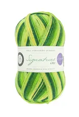 West Yorkshire Spinners Signature 4-ply by West Yorkshire Spinners