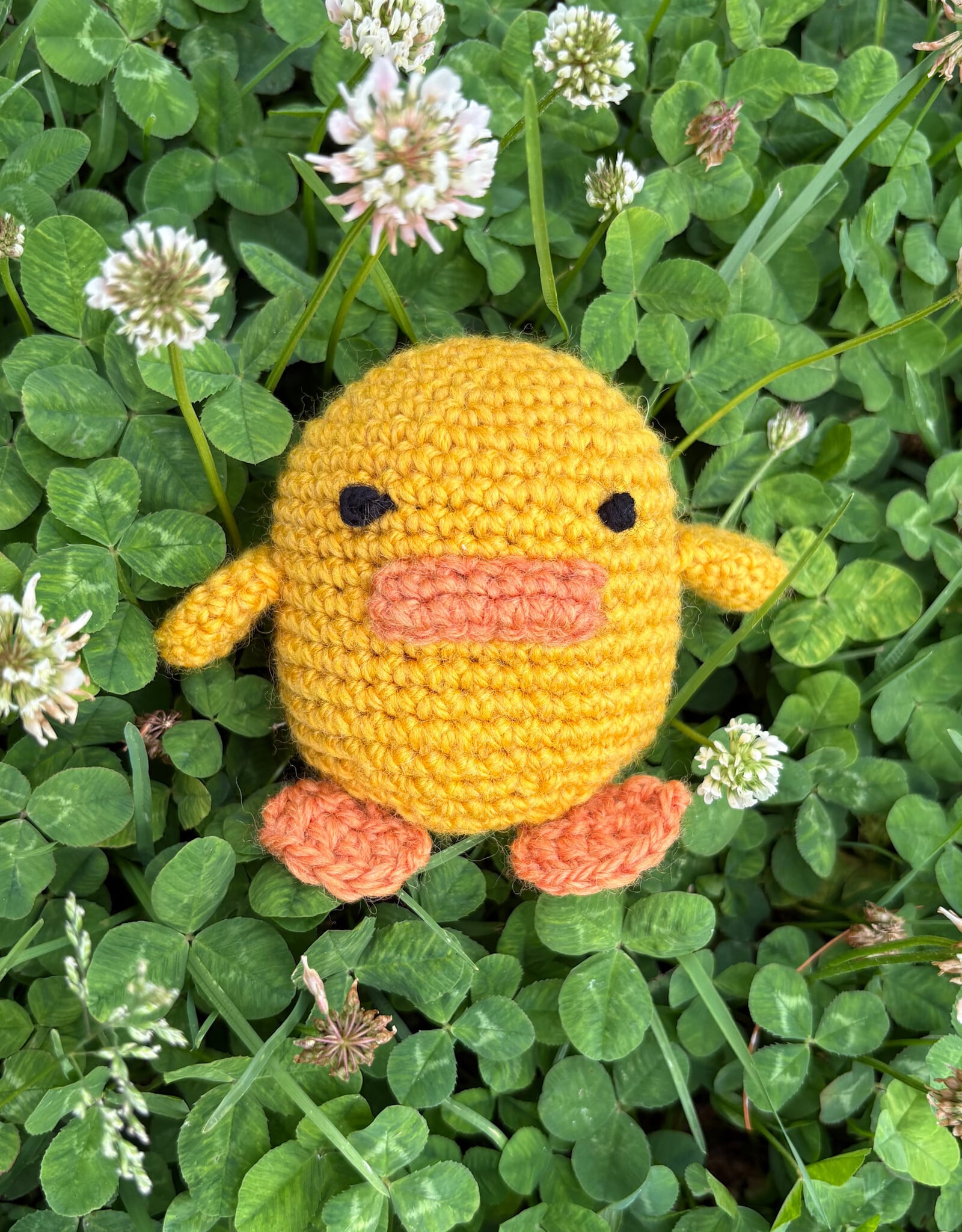 Annamarie Jowanovitz Crochet Creature Feature: Fredrick the Duck - Mondays, August 17 & 24, 4-6pm