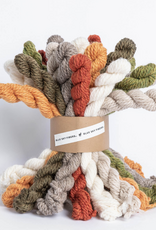 Blue Sky Fibers Woolstok Bundle Kit